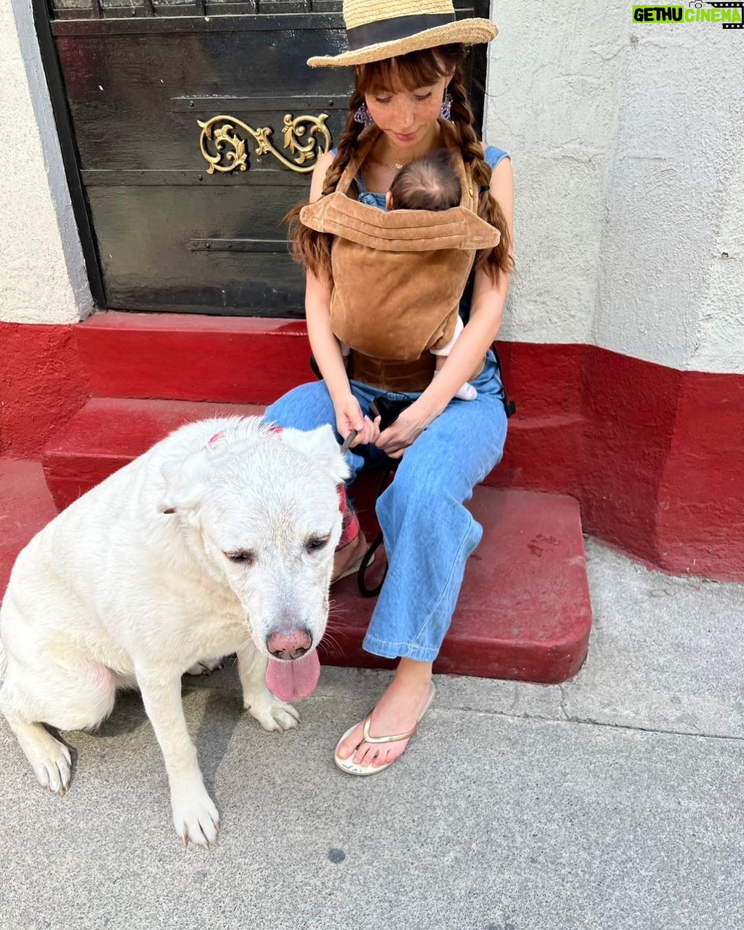 Natalia Téllez - 159.3K Likes - Mi cachorro ya no es tan bebé 🥲♥️