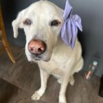 Natalia Téllez Instagram - Domesticidad y unos cuantos destellos de otra cosa 🪄