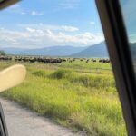 Natalie Mariduena Instagram - channeling my inner dutton Yellowstone