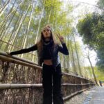 Natalie Mariduena Instagram - meoww (=^‥^=) Arashiyama Kyoto