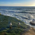 Natalie Mariduena Instagram - ♾️🫶🏼 La Jolla Cove