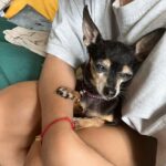 Natalya Rudova Instagram - Всю свою жизнь сколько я себя помню я спасаю и кормлю бездомных животных. В детстве я таскала домой подбитых голубей и больных котят. Мама помогала их лечить. Я гипер ответственный человек и со своими животными до конца! Сегодня в России практически ОТМЕНЯЮТ ЗАКОН о защите животных и вводят ЭВТАНАЗИЮ! А это значит, что ВСЕХ бездомных СОБАК БУДУТ УБИВАТЬ! Туда же попадут и потерявшиеся домашние. А дальше недалеко и до эвтаназии бездомных кошек! Приюты собак не защитят, потому что начнутся гонения на зоозащитников и эвтаназия животных в приютах! МЫ ОБЯЗАНЫ ЭТОГО НЕ ДОПУСТИТЬ! Иначе по всей стране уже официально будет разгул ЖИВОДЕРСТВА! Оставаться в стороне нельзя! Мы -люди! НУЖЕН МОЩНЫЙ ОБЩЕСТВЕННЫЙ РЕЗОНАНС!!! #противэвтаназииживотных #противэвтаназии #противэвтаназиибездомныхживотных Максимальный репост!🙏🐶🐈