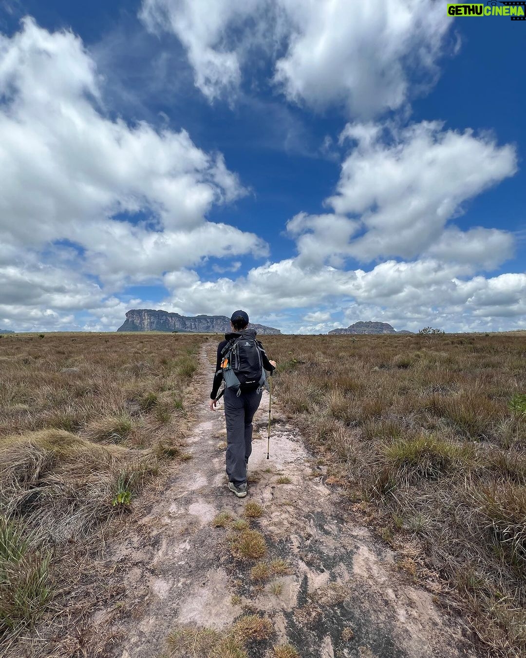 Nathalia Arcuri Instagram - Vale do Pati, dia 1 de 3. O Vale do Pati é conhecido como um dos lugares mais impressionantes e intocados do Brasil. Só pra você ter uma ideia a paisagem exuberante, com cânions, cachoeiras, rios, e montanhas, já serviu de cenário para diversos filmes e documentários. Aqui é na base da trilha mesmo, tem que ter condicionamento, algumas trilhas são bem extensas, fizemos cerca de 16km por dia, mas a ausência de estradas e veículos motorizados contribui para a preservação da natureza e cria essa sensação de isolamento e tranquilidade. Além disso dentro do vale, existem algumas pequenas comunidades remanescentes de quilombolas e agricultores locais, que vivem de forma simples e tradicional. Essas comunidades preservam costumes culturais e técnicas agrícolas antigas, como na hospedagem que a gente ficou no primeiro dia. Eu me dei essa viagem de presente de aniversário. Talvez alguns vão me chamar de doida, de fazer trilha em pleno aniversário... pois que digam. Eu queria estar assim, pertinho da natureza, conectada comigo mesma e foi muito especial. Nos próximos dias vou mostrar mais nos meus stories! Quem tá acompanhando, já manda um ❤️ — Meu guia: @beja_guia.chapadadiamantina Vale do Pati - Chapada Diamantina