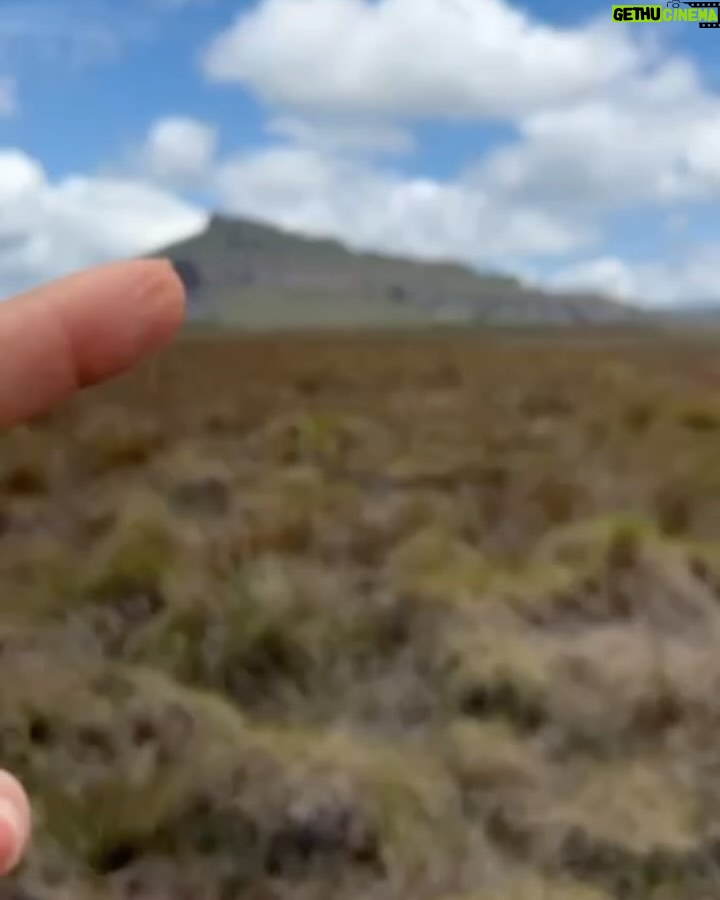 Nathalia Arcuri Instagram - Vale do Pati, dia 1 de 3. O Vale do Pati é conhecido como um dos lugares mais impressionantes e intocados do Brasil. Só pra você ter uma ideia a paisagem exuberante, com cânions, cachoeiras, rios, e montanhas, já serviu de cenário para diversos filmes e documentários. Aqui é na base da trilha mesmo, tem que ter condicionamento, algumas trilhas são bem extensas, fizemos cerca de 16km por dia, mas a ausência de estradas e veículos motorizados contribui para a preservação da natureza e cria essa sensação de isolamento e tranquilidade. Além disso dentro do vale, existem algumas pequenas comunidades remanescentes de quilombolas e agricultores locais, que vivem de forma simples e tradicional. Essas comunidades preservam costumes culturais e técnicas agrícolas antigas, como na hospedagem que a gente ficou no primeiro dia. Eu me dei essa viagem de presente de aniversário. Talvez alguns vão me chamar de doida, de fazer trilha em pleno aniversário... pois que digam. Eu queria estar assim, pertinho da natureza, conectada comigo mesma e foi muito especial. Nos próximos dias vou mostrar mais nos meus stories! Quem tá acompanhando, já manda um ❤️ — Meu guia: @beja_guia.chapadadiamantina Vale do Pati - Chapada Diamantina
