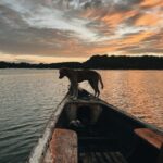 Nathalia Arcuri Instagram - Quando a gente viaja sozinha coisas bem curiosas e poderosas acontecem: 1- Você descobre que é bem mais interessante e divertido do que imaginava. 2- Com planejamento e preparação adequados os perrengues que poderiam te colocar em risco diminuem drasticamente. 3- Mais gente se preocupa com você do que você era capaz de supor e te mandam mensagens do tipo “viajar sozinha é muito corajoso, parabéns” ou “cuidado com a sua bebida”. 4- Você passa a questionar se a coragem que as pessoas dizem que você tem é pelo fato de correr riscos e não ter com quem contar ou se é a sua capacidade de estar na solitude e estar bem com isso 5-Os problemas vão te acompanhar pra onde você for e cabe a você decidir como vai lidar com eles. 6- A vida se encarrega de colocar pessoas incríveis no seu caminho ao longo da jornada. Fiz amigos de verdade em menos de dois dias, me diverti sozinha, acompanhada e me maravilhei com a natureza que é onde mora a minha companhia de vida. Último dia em Caraíva e já quero voltar. ❤️