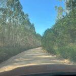 Nathalia Arcuri Instagram - Eu, meus podcasts, meu carro fiel escudeiro e Deus. Cheguei à Bahia pela BR 101 e fui direto à Caraíva por uma estradinha de areia bem esburacada que me fez pedir desculpas à Robotinika várias vezes. Robotinika é o apelido do carro, em homenagem ao Robô gigante do fim de fases do Sonic, Robotnik, que também é meio vermelho metalizado. Minha mãe ganhou o Mega Drive 2 em um bingo quando eu era pequena e me lembro até hoje a rivalidade em casa pra ver quem ia zerar o único jogo que veio junto: Sonic 2. Minha irmã mais velha, a Alê foi a primeira. Naquela época não tinha essa de voltar de onde morreu. Tinha que jogar tudo de novo, passar pelas mesmas fases e cometer zero erros pra poder chegar de novo do ponto de onde parou. De certa forma essa viagem representa um recomeço de jogo. A estrada te impõe respeito e não há margem para falhas. A preparação do carro, do corpo e da mente são fundamentais para apreciar o jogo de imagens e cenários que se projetam momento após momento diante de nós. Que privilégio poder compartilhar essa aventura aqui com tanta gente torcendo e se inspirando. Até mesmo os preocupados começaram a curtir kkkk e quem sabe um dia embarcarão na estrada comigo também. Não prometo postagens pelos próximos dias. A vida me espera. ❤️