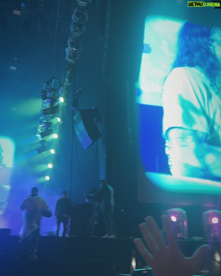 Nathalia Arcuri Instagram - Uma pequena coletânea desses dois dias de @lollapaloozabr É lindo ver os gringos emocionados com a energia do nosso povo. Da pra ver na cara deles a sensação de estar fazendo a melhor apresentação da vida pra melhor audiência. Se você estivesse em cima de um desses palcos, diante de 50 mil pessoas… O que você faria? Eu acho que ia congelar e chamar o SAMU. Autódromo de Interlagos