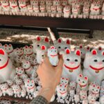 Nathalie Odzierejko Instagram - Vlog 2 du Japon en ligne 🇯🇵 Dans l’ordre: 1: qui vient se baigner avec moi? 2: Ursula qui lève un bras au milieu du plus gros passage piéton au monde 3: maneki-neko à gogo 4: le temple aux 10 000 tori 5: idée photo de ma mère 6: une cochonne en liberté 7: l’ange du cacao 8: un samouraï bancal 9: c’est moi qui l’ai fait 10: des barres, j’suis au sol. ( lien du vlog en bio ) Japan