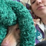 Nathalie Odzierejko Instagram - Voici quelques photos. 1 : on rigole bien avec Bachata Jones 2 : Dents Avec Les Stars 3 : allez voir le film de @fl0rentbernard il est super. 4 : deux moussaillons chez @mousse.paris 5 : un chien 6 : Anthony Collé 7 : bonne ambiance grâce à mon humour. 8 : c’est Shrek. 9 : Justine petit génie de l’informatique