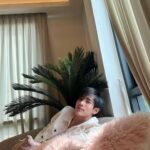Nattawat Jirochtikul Instagram - Cat Therapy