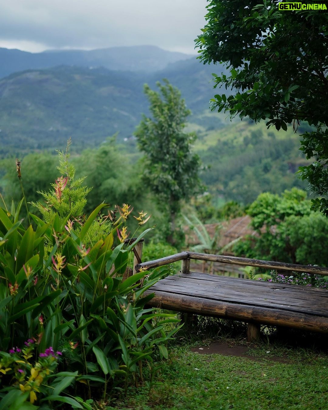 Navya Nair Instagram - Life becomes instantly more beautiful when ones heart is in sync with nature and music. Moments from when @navyanair143 visited The Mudhouse. π @themudhousemarayoor πΈ @salmanmxhd . . . . . . . #keralatourism #keralagram #malayalammovie #wabisabi #airbnb #boutiquehotel #navyanair #malayalamcinema #gardenlove #naturegram #indiatravel #indiatravelgram #landscaping #westernghats #offbeatindia #airbnbsuperhost #keralatrip #monsoon #malayalamactress