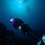 Nawat Phumphothingam Instagram - Eat – dive – sleep – repeat 🤘🏻🐠
