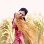 Neeru Bajwa Instagram - The teaser is almost ready to tease …. I am so excited to share it with you all. Til then keep enjoying #mehboob ji ❤️🌹 #shayar #april19