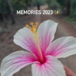 Neeti Mohan Instagram - Thank you 2023 for life lessons 🫶🏻