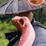 Nigel Ng Instagram – Does Kung Fu make everything better?