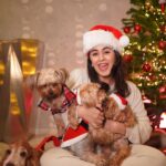 Nikki Galrani Instagram - Our family is all ready to jingle♥️🎄 #ItsChristmasTime ✨