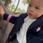 Nittha Jirayungyurn Instagram - 👧🏻🏆🐎🐶