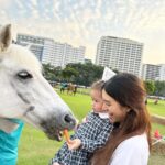 Nittha Jirayungyurn Instagram – 🐴🍼🎟️🙏🏻😴