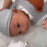Nittha Jirayungyurn Instagram - My lil fox💗🦊