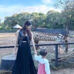 Nittha Jirayungyurn Instagram - ให้อาหารสัตว์สนุกมากค่ะ🐷🦁🦜🦙 @marin_kuha Bonanza Exotic Zoo