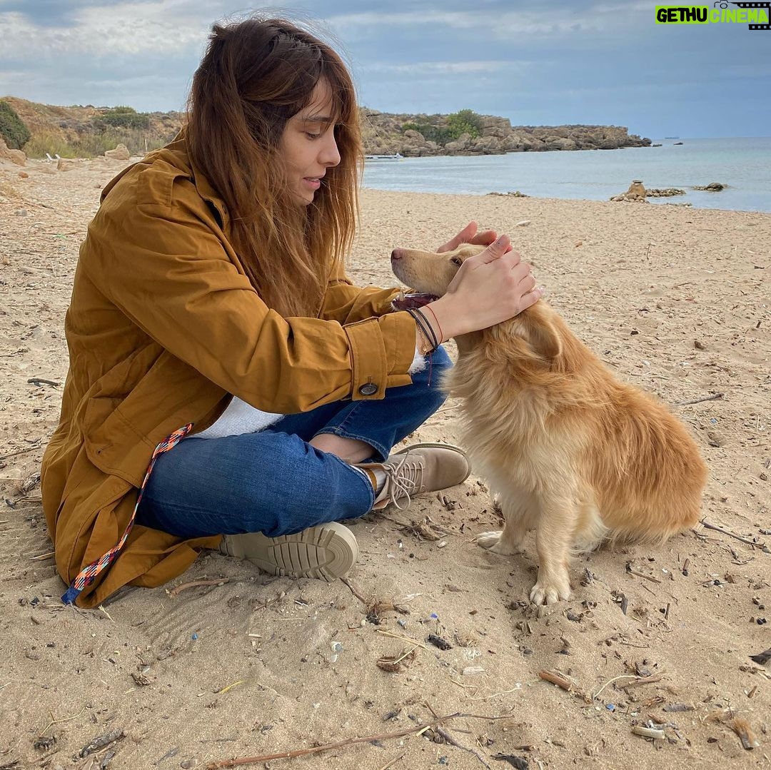 Nur Fettahoğlu Instagram - Çalışma arkadaşım✌🏻 #siyahat