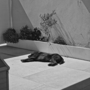 Pablo Alborán Instagram - 1.día de sol y masajitos
2.dormido yendo a una reunión
3.se dispararon las ideas 
4.día inolvidable
5.siempre me tira la lengua 
6.nap