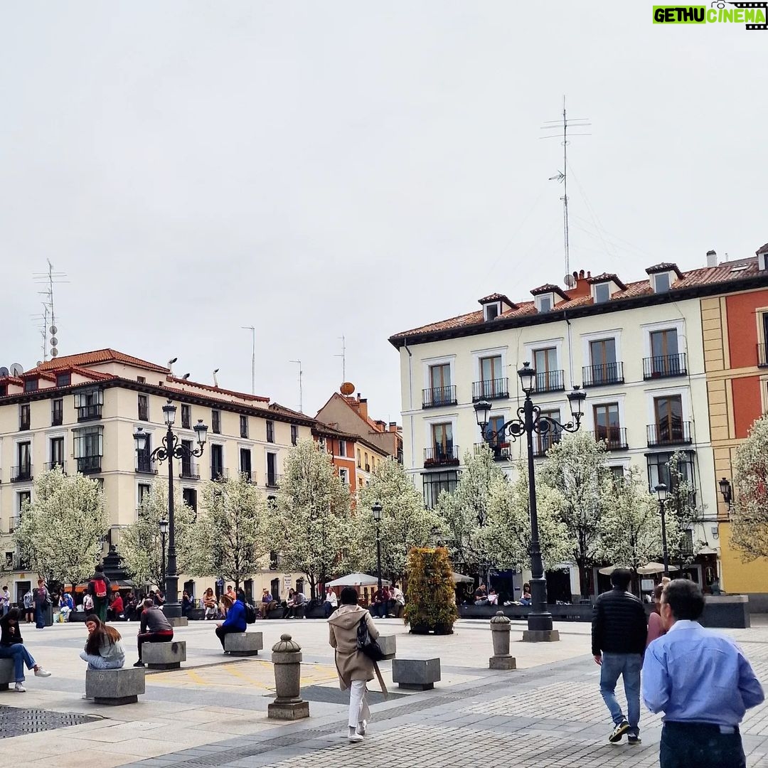 Pablo Alborán - 80K Likes - #Madrid está preciosa.