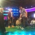 Paddy McGuinness Instagram - Here I am getting my testicles inspected by a sheep. Standard Take Me Out stuff circa 2011. #takemeout #throwback