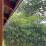 Pathompong Reonchaidee Instagram - ไปที่ไหน ฝนตกที่นั่น.
