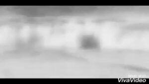 Pejman Jamshidi Instagram - بهنام عزيز
سفرت به سلامت
خدانگهدار
❤️