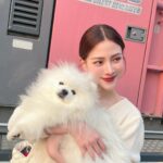 Pimchanok Luevisadpaibul Instagram - มีคนมาเยี่ยมที่กอง 🦁