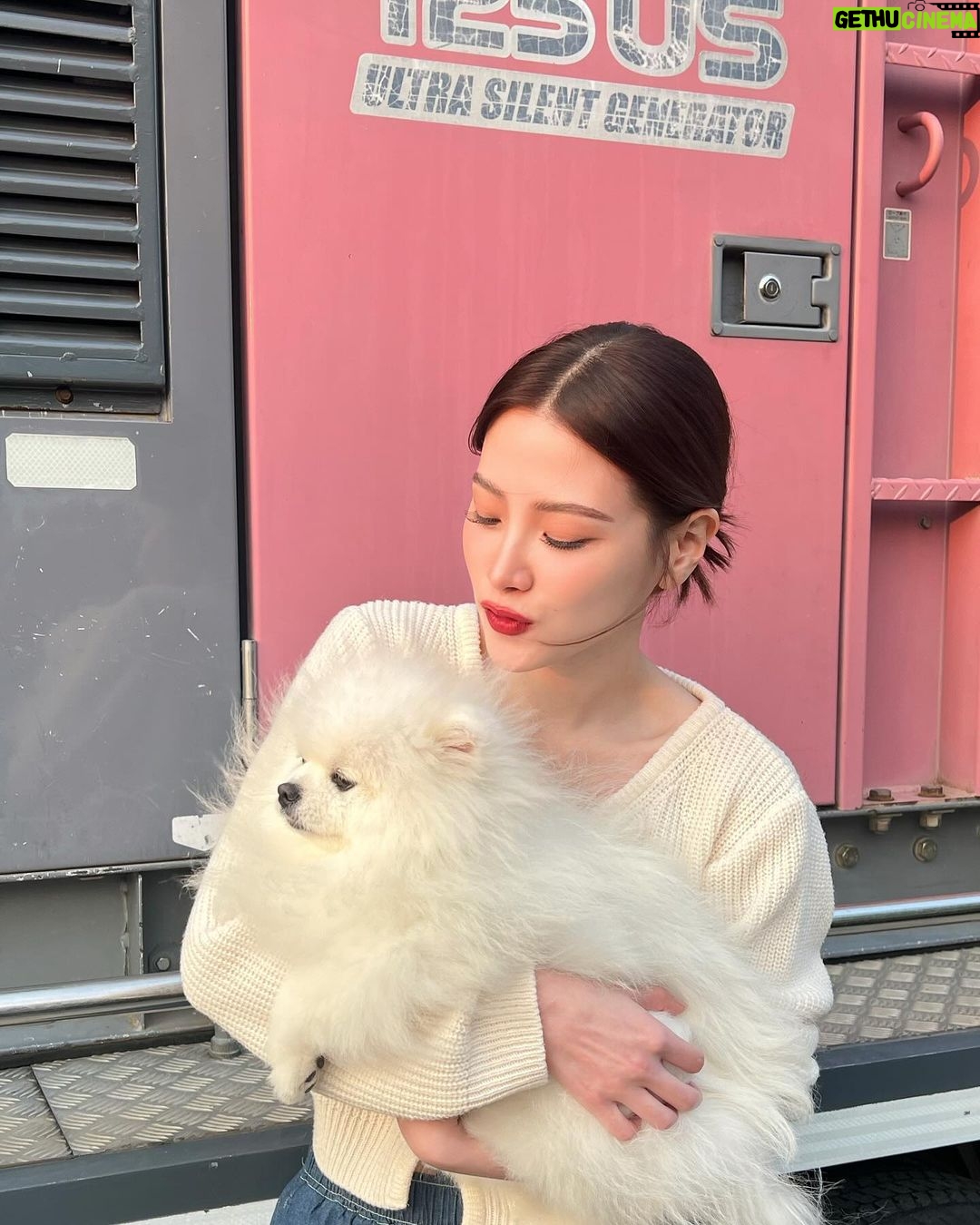 Pimchanok Luevisadpaibul Instagram - มีคนมาเยี่ยมที่กอง 🦁