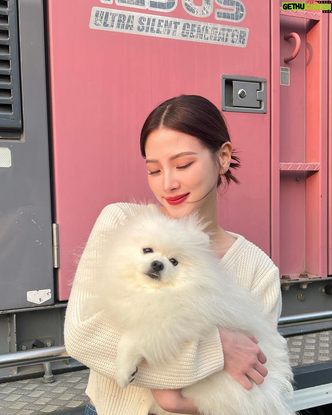Pimchanok Luevisadpaibul Instagram - มีคนมาเยี่ยมที่กอง 🦁