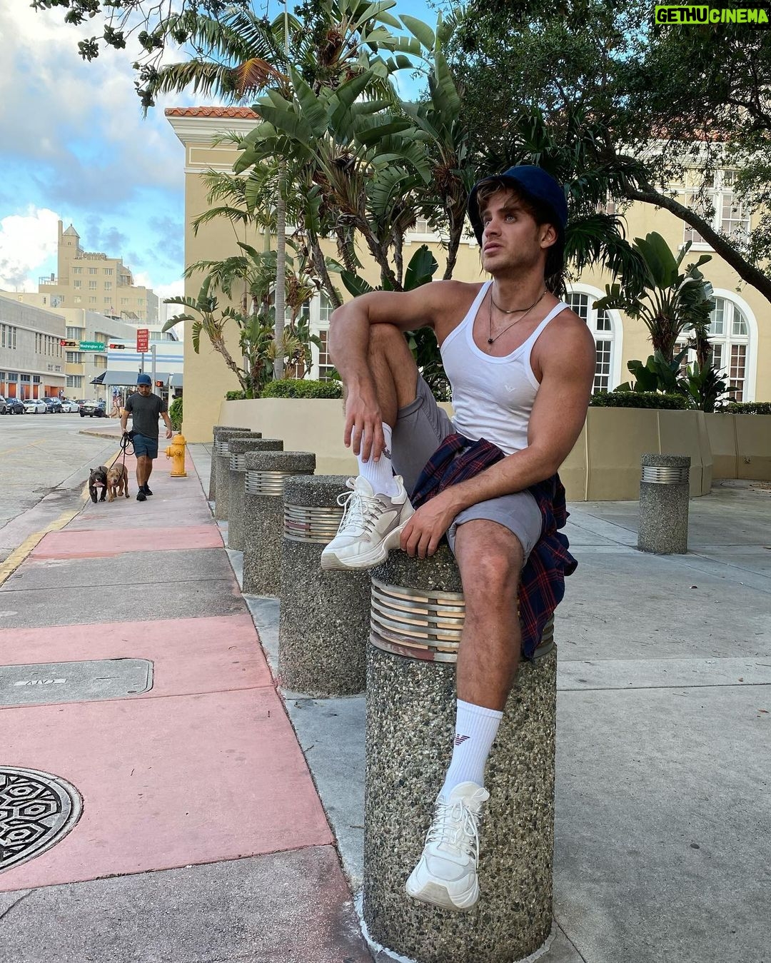 Polo Morín Instagram - Unos perros me hicieron photobomb, me caen bien. 🙃 Miami Beach, Florida