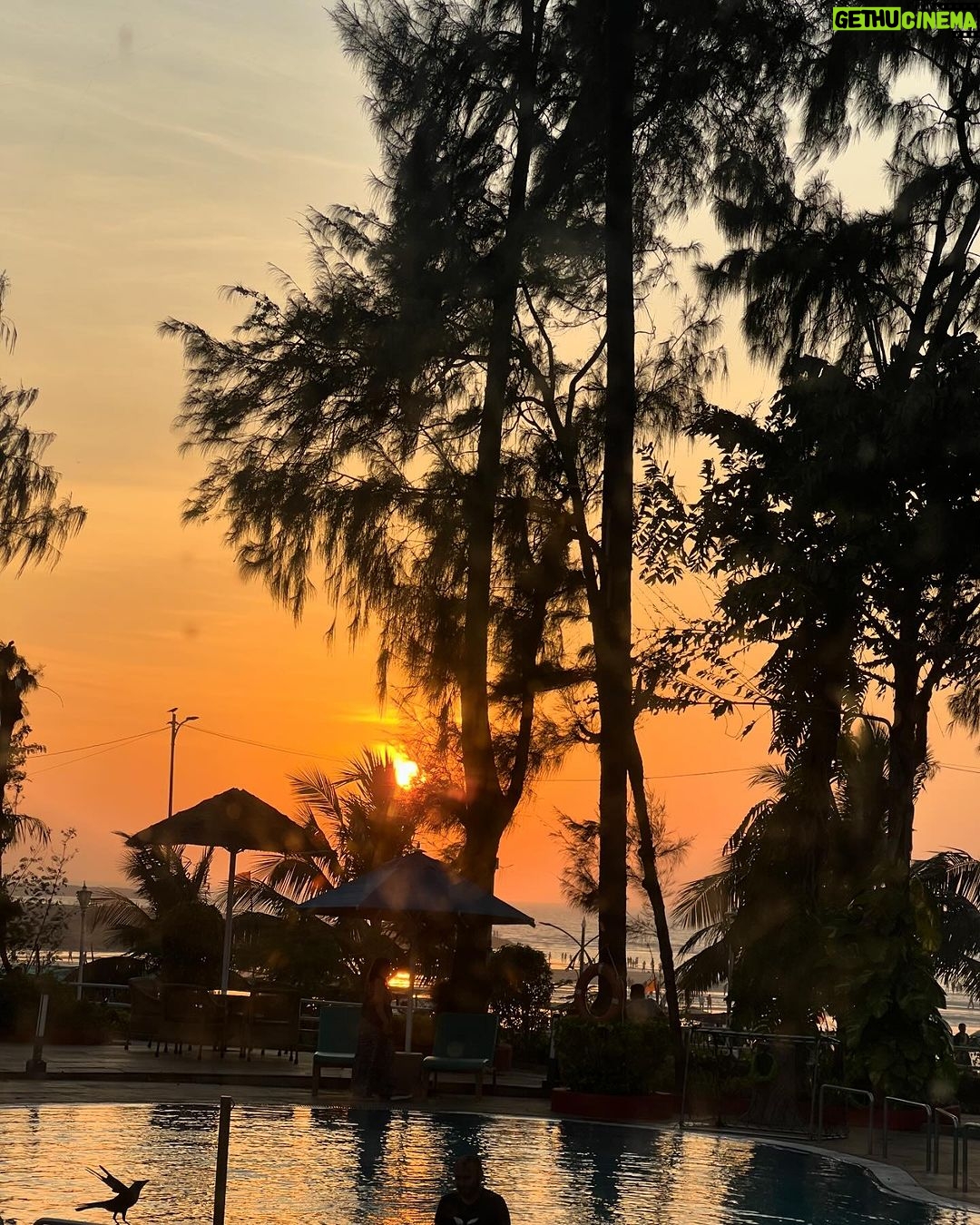 Pooja Chopra Instagram - 𝒯𝒽𝑒 𝓈𝓊𝓃𝓈𝑒𝓉 𝑔𝓁𝑜𝓌 🌇