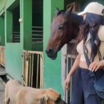 Poonam Pandey Instagram - Surrounded by the beauty of nature and its inhabitants. Sending a big thanks to Kalote Animal trust for taking care of the sanctuary. @kaloteanimaltrust @piaparadise