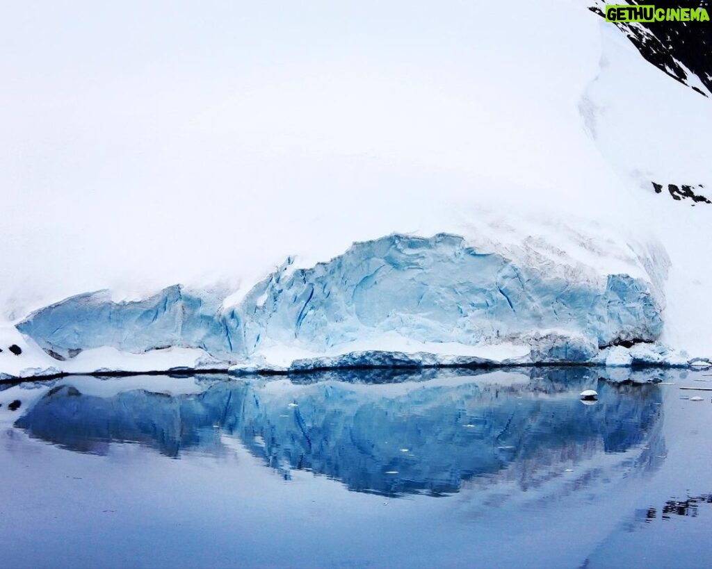 Pranav Mohanlal Instagram - Supine Penguin 🐧 - Antarctica