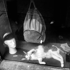 Pranav Mohanlal Instagram - ‘Draw me like one of your French girls’ - Istanbul, Turkey
