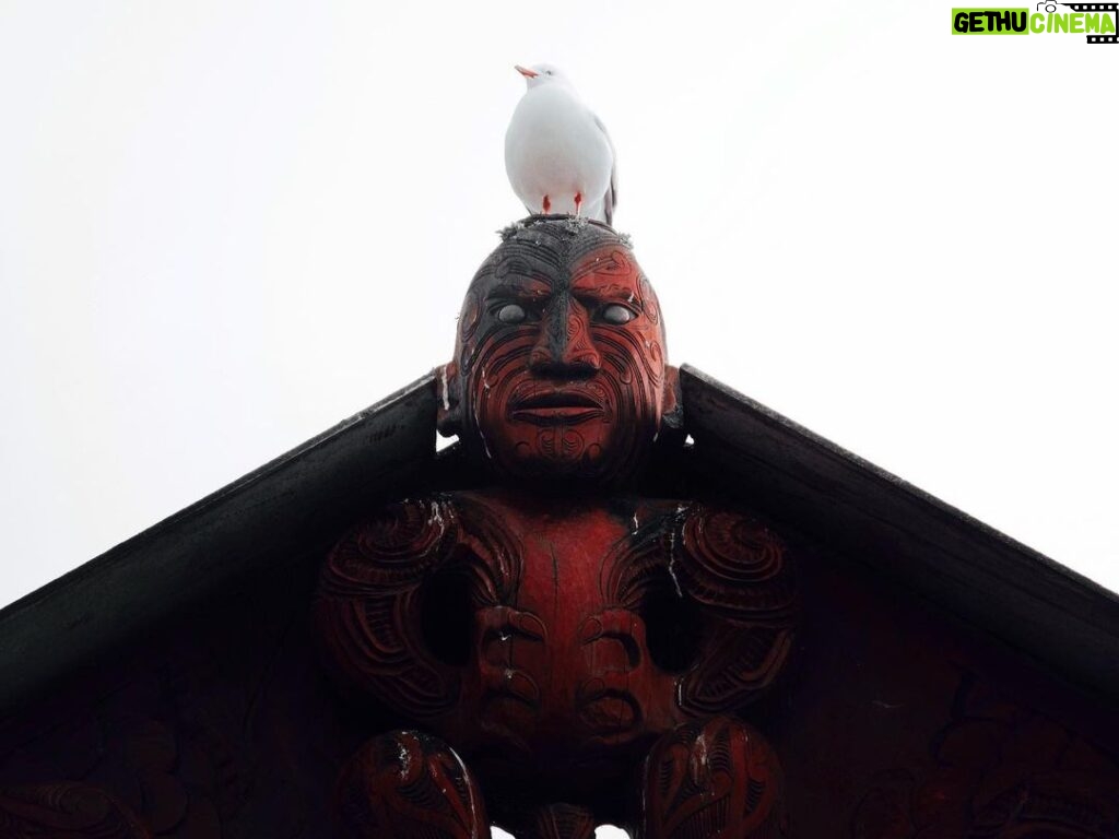 Pranav Mohanlal Instagram - Māori Sculpture - Rotorua, NZ