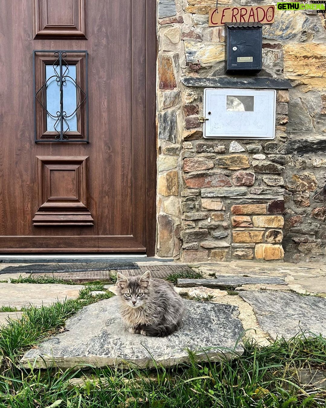 Pranav Mohanlal Instagram - Eyes of Judgement 😾