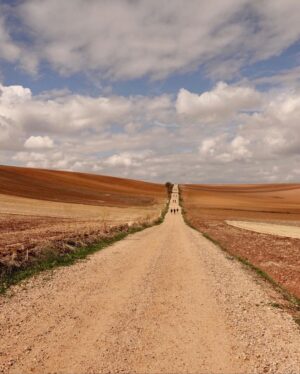 Pranav Mohanlal Instagram - Meseta, Spain