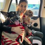 Puja Gupta Instagram - My boys came to pick me up from work today all dressed for winters in their granny handmade sweaters🥹🥹🥹 🐕 🐶 Bandra Band Stand