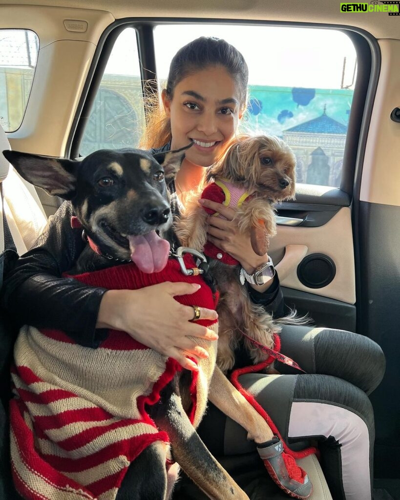 Puja Gupta Instagram - My boys came to pick me up from work today all dressed for winters in their granny handmade sweaters🥹🥹🥹 🐕 🐶 Bandra Band Stand