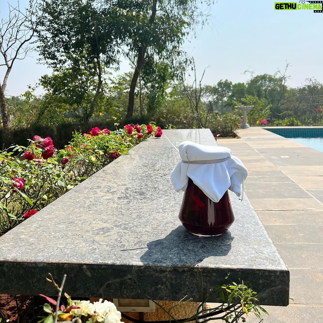 Puja Gupta Instagram - Goa Photo dump 🦥🌴🧘♀️👙 Assagao, Goa