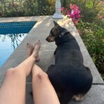 Puja Gupta Instagram - Goa Photo dump 🦥🌴🧘‍♀️👙 Assagao, Goa