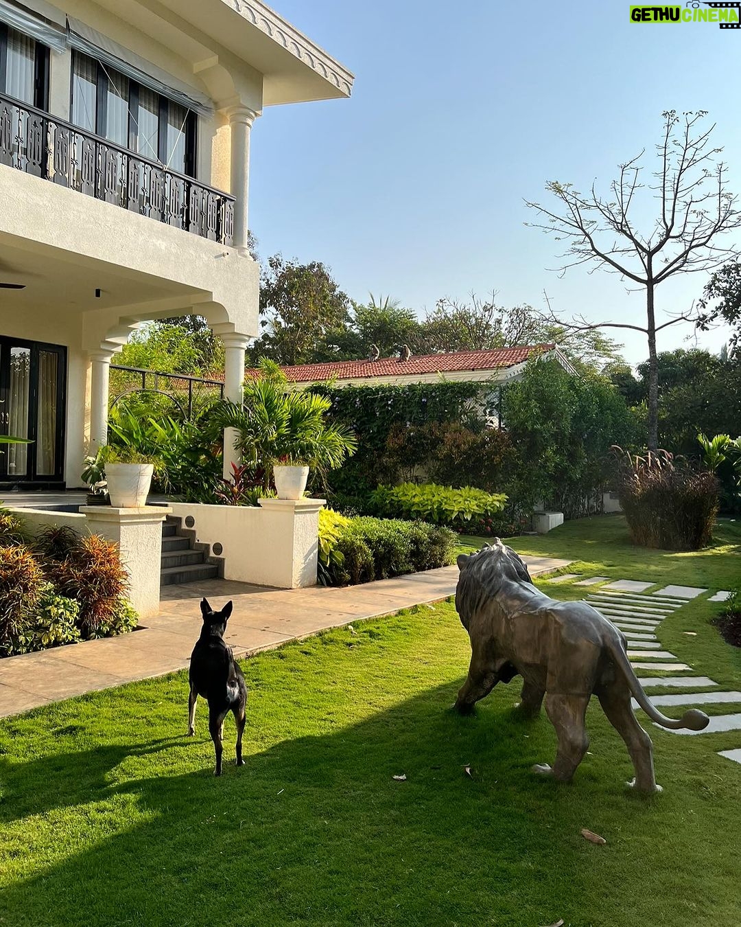 Puja Gupta Instagram - Oh itβs a season to be jolly πͺ» ππΎ πΆ π