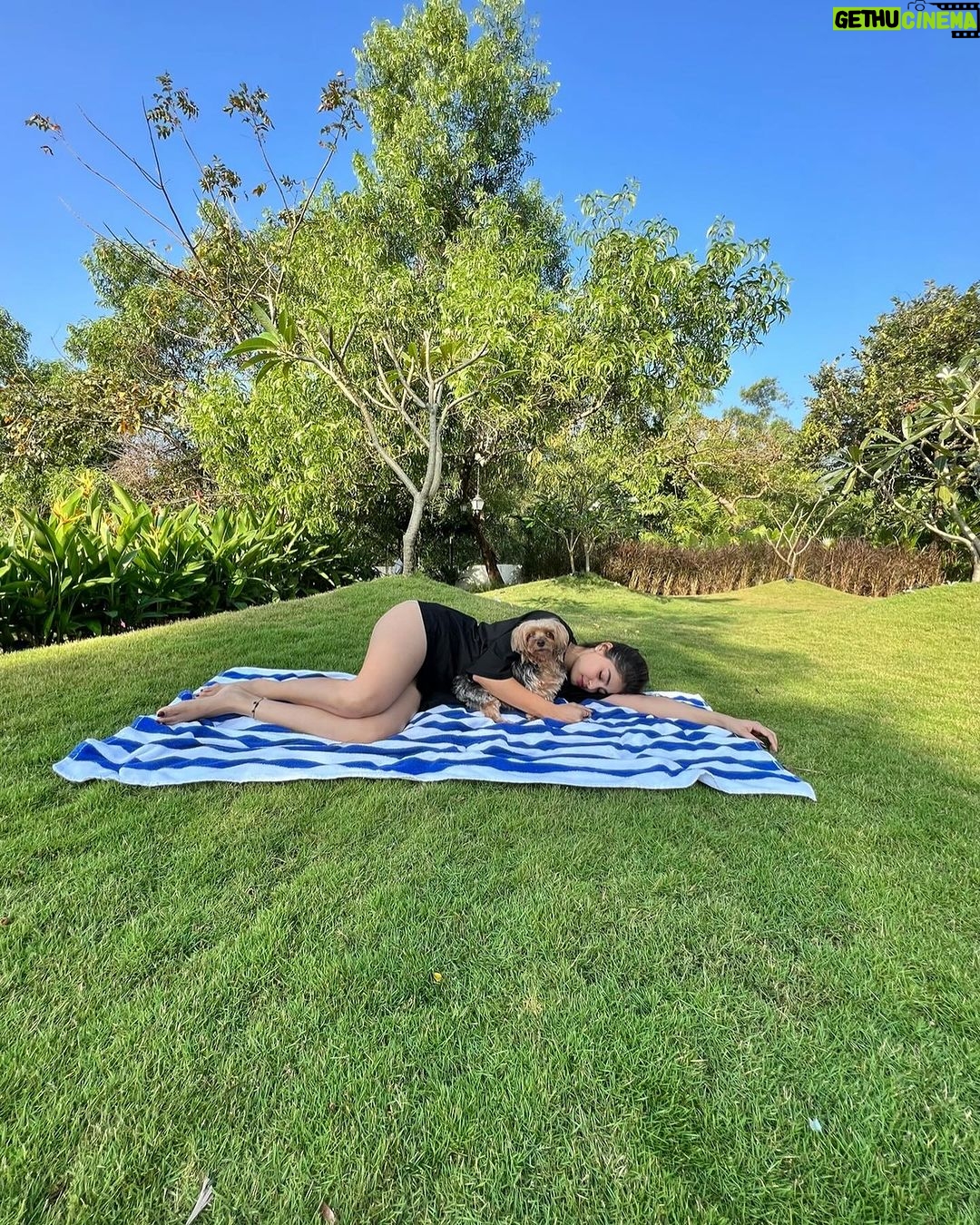 Puja Gupta Instagram - Oh itβs a season to be jolly πͺ» ππΎ πΆ π