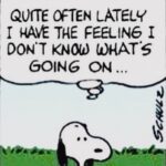Rachel Zegler Instagram - (i left my good sense in january) enero