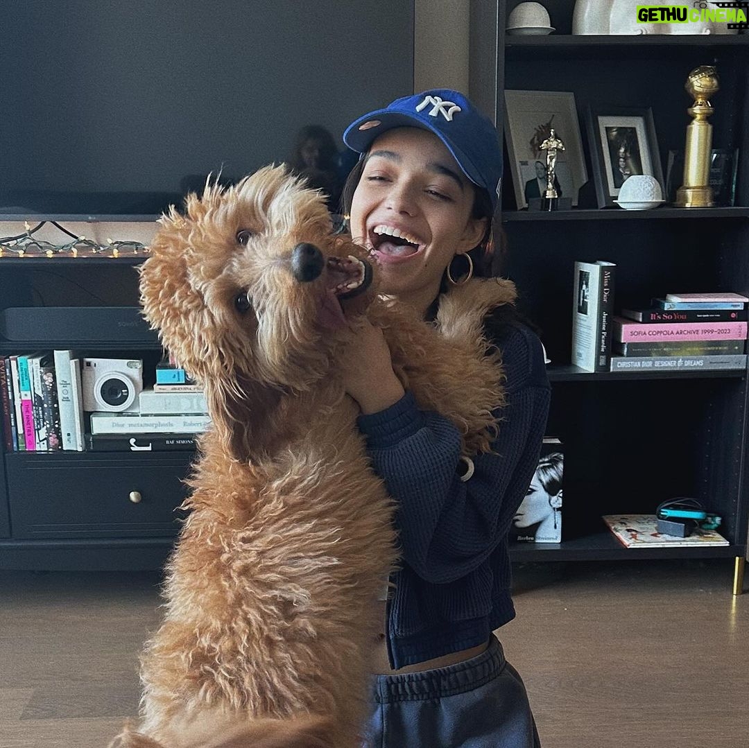 Rachel Zegler Instagram - happy 1st birthday to my sweet pup, lenny. you came to me in a time where i desperately needed love without conditions or apprehensions, and you’ve given me what i consider to be the best version of being alive. mommy and daddy love you so much. 💓♾️1️⃣ p.s.: you are officially old enough to know better now. put down the socks.