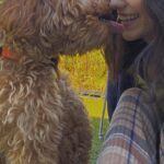 Rachel Zegler Instagram – happy 1st birthday to my sweet pup, lenny. you came to me in a time where i desperately needed love without conditions or apprehensions, and you’ve given me what i consider to be the best version of being alive. mommy and daddy love you so much. 💓♾️1️⃣
p.s.: you are officially old enough to know better now. put down the socks.